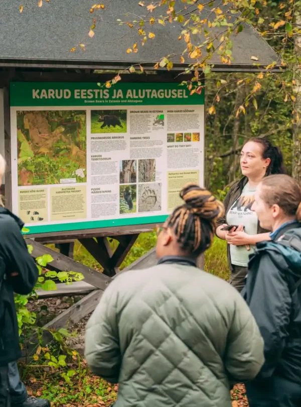 wilde estonia trip northen europe nature