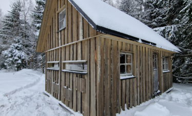 karu ja kotkaste ja teiste lindude fotograafia