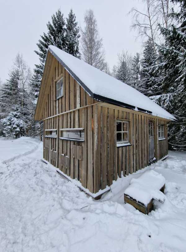 karu ja kotkaste ja teiste lindude fotograafia