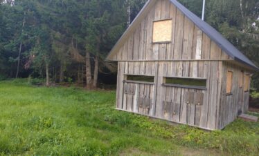 premium hide for brown bear and wildlife watching (2)