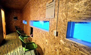 wildlife watching hide in estonia