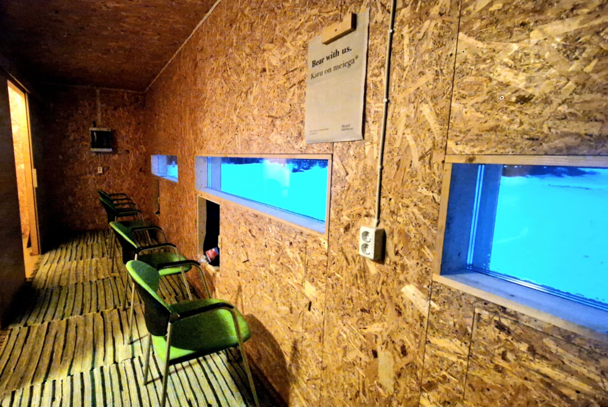 wildlife watching hide in estonia