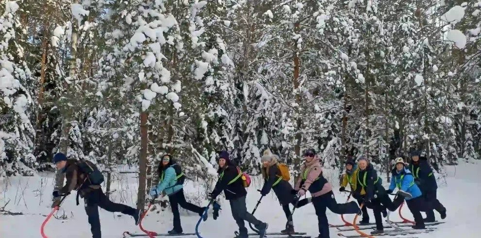 winter tour in estonia sledging