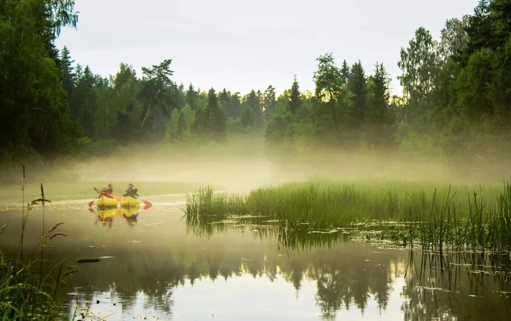 Ruhige Kanutour auf dem Tudujärv in Estland inmitten der Natur
