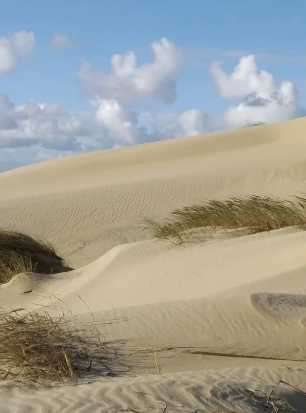 Sanddünen in Nida auf der Kurischen Nehrung in Litauen