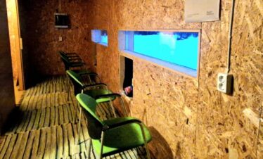 feb831ec 28ed 43fc 8950 c8aefa0be50b