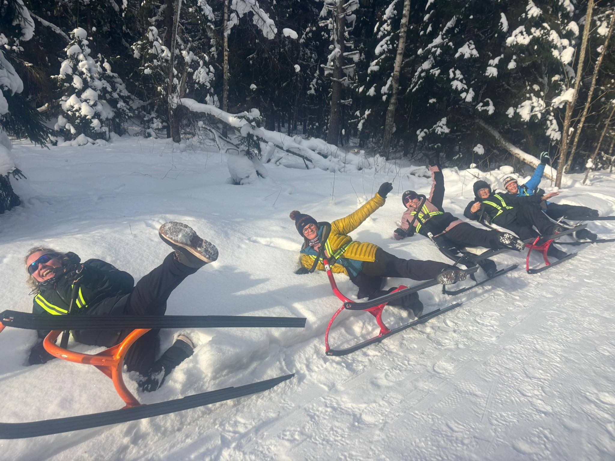 kicksledding adventures in estonia