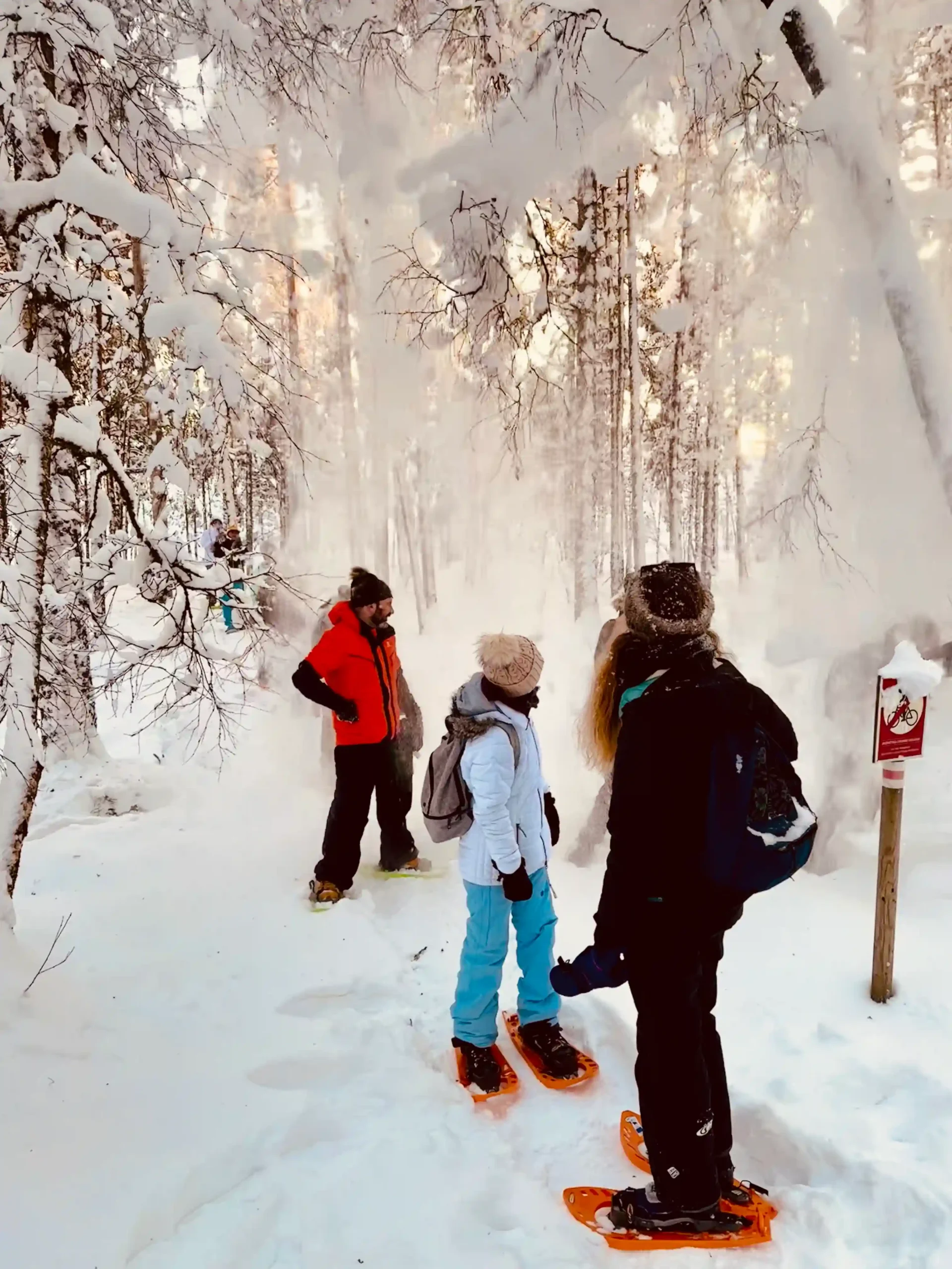snowy forest hiking estonia winter