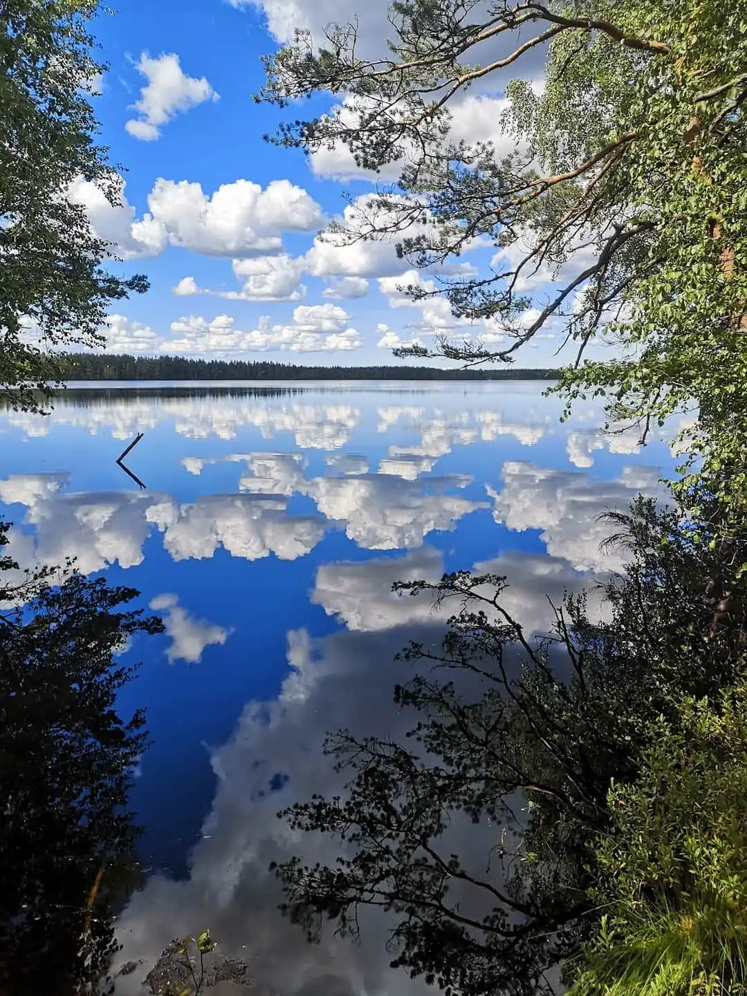 tudu lake estonia nature.jpg