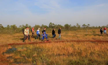 autumn bog snowshoe tour soomaa estonia