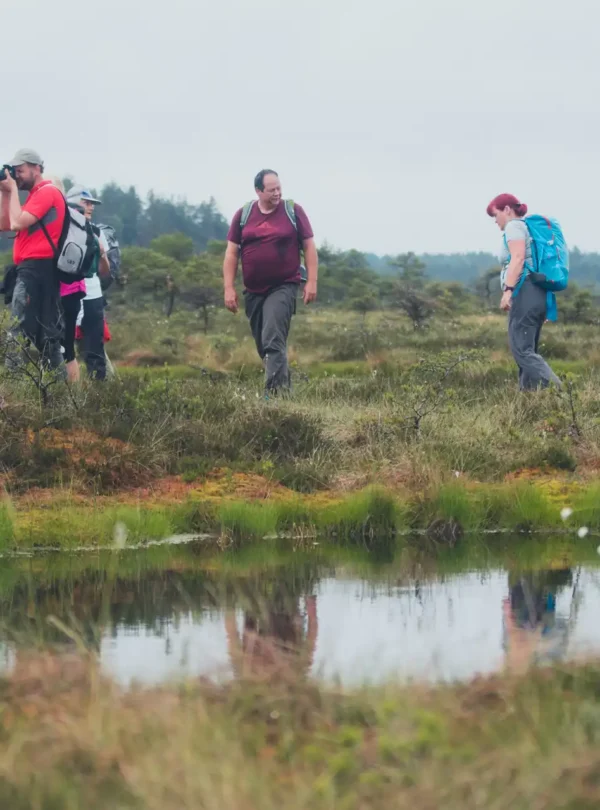 bog wetöand trip in estonia day trip