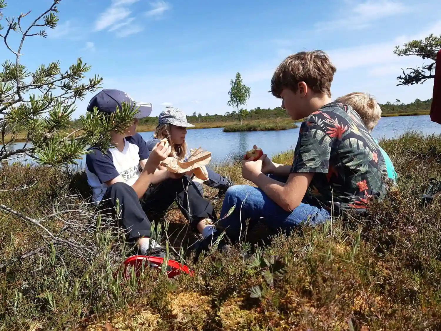 family nature experience estonia outdoors