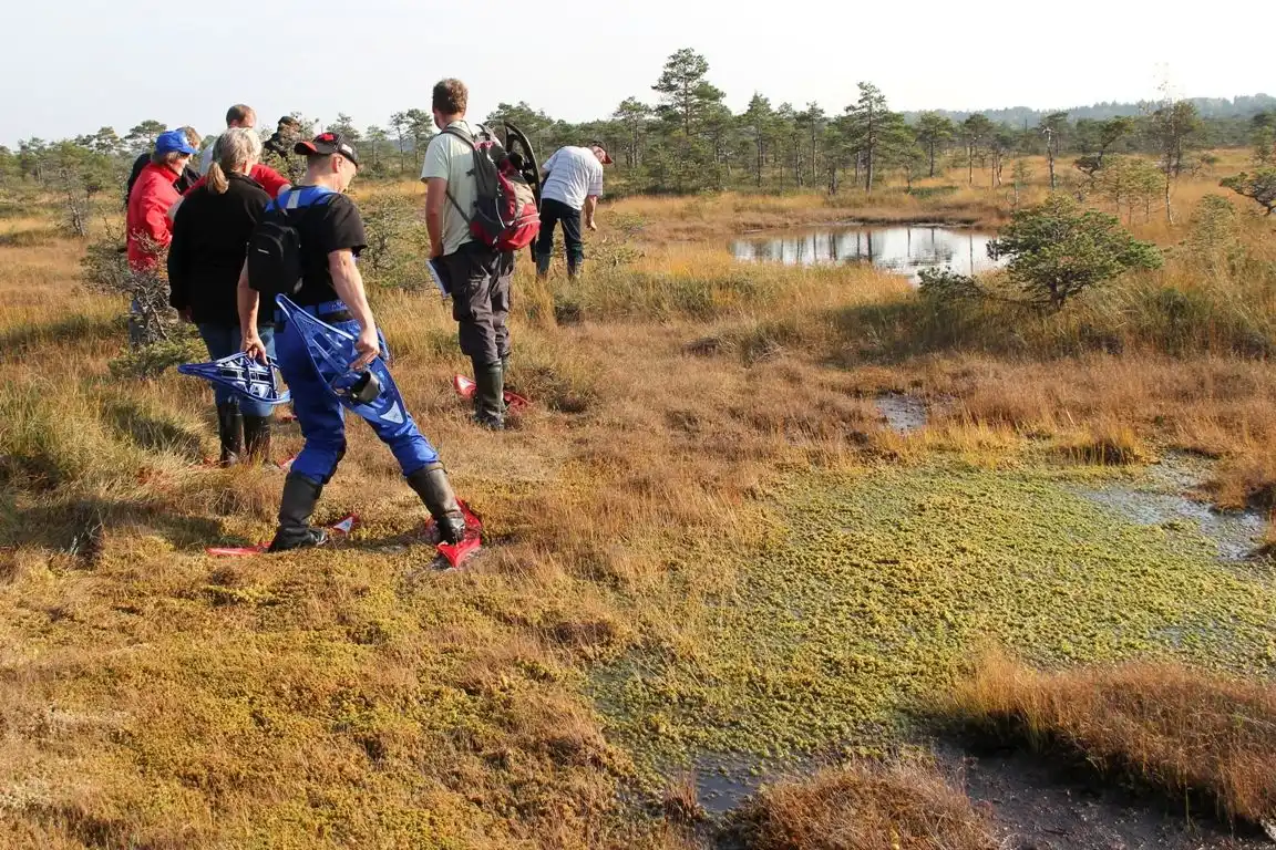 soomaa bog walking tour estonia