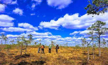 Bogeshoeng trip in estonia