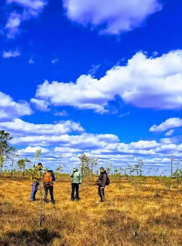 Bogeshoeng trip in estonia