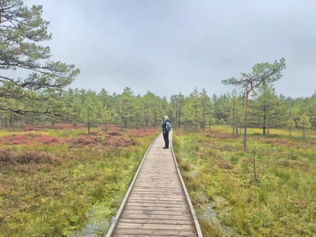 wild bog adventure trip in estonia