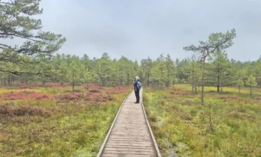 wild bog adventure trip in estonia