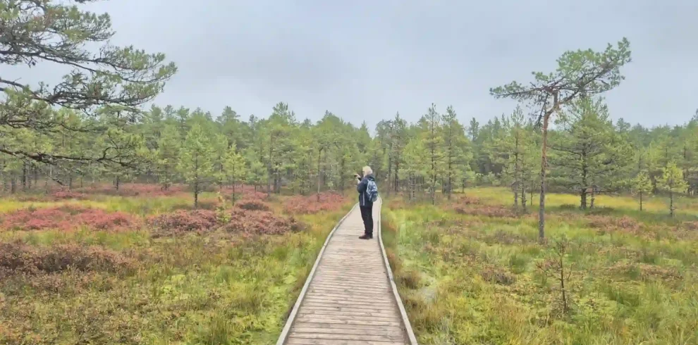 wild bog adventure trip in estonia