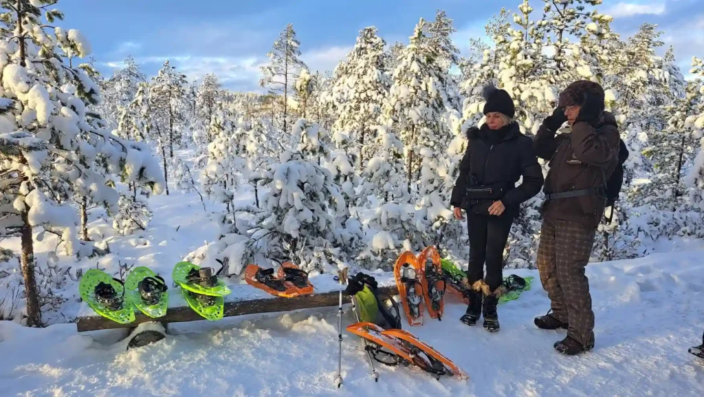 winter bog snowshoe tour soomaa estonia