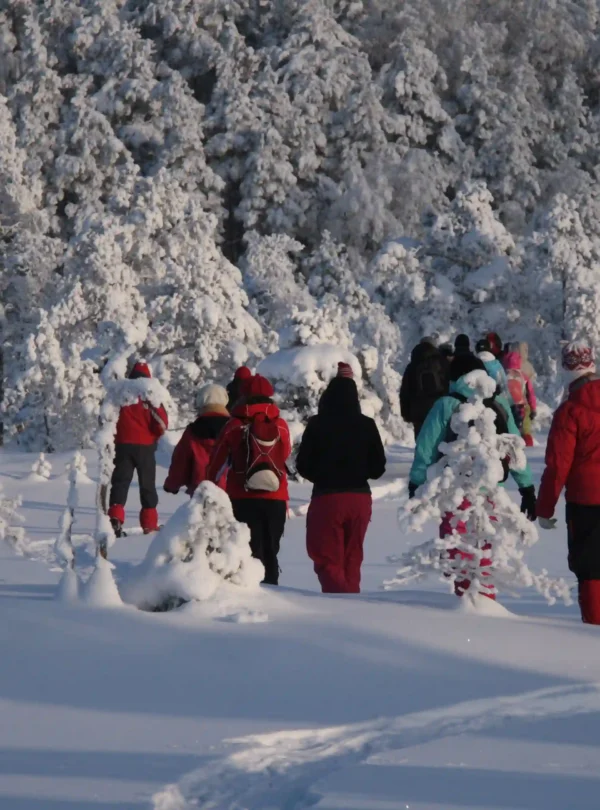 winter snowshoe hiking tour soomaa estonia