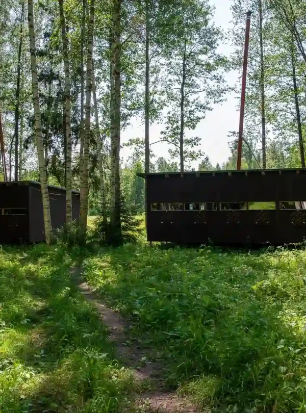 Braunbären-Beobachtung in Europa – Braunbär in Estland in den Alutaguse Beobachtungshütten