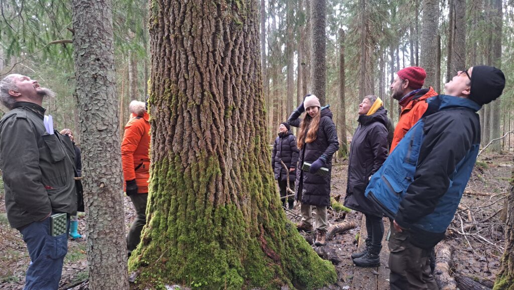 activest team baltics nature guides