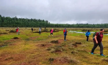 estonia bog lake hiking tour nature experience