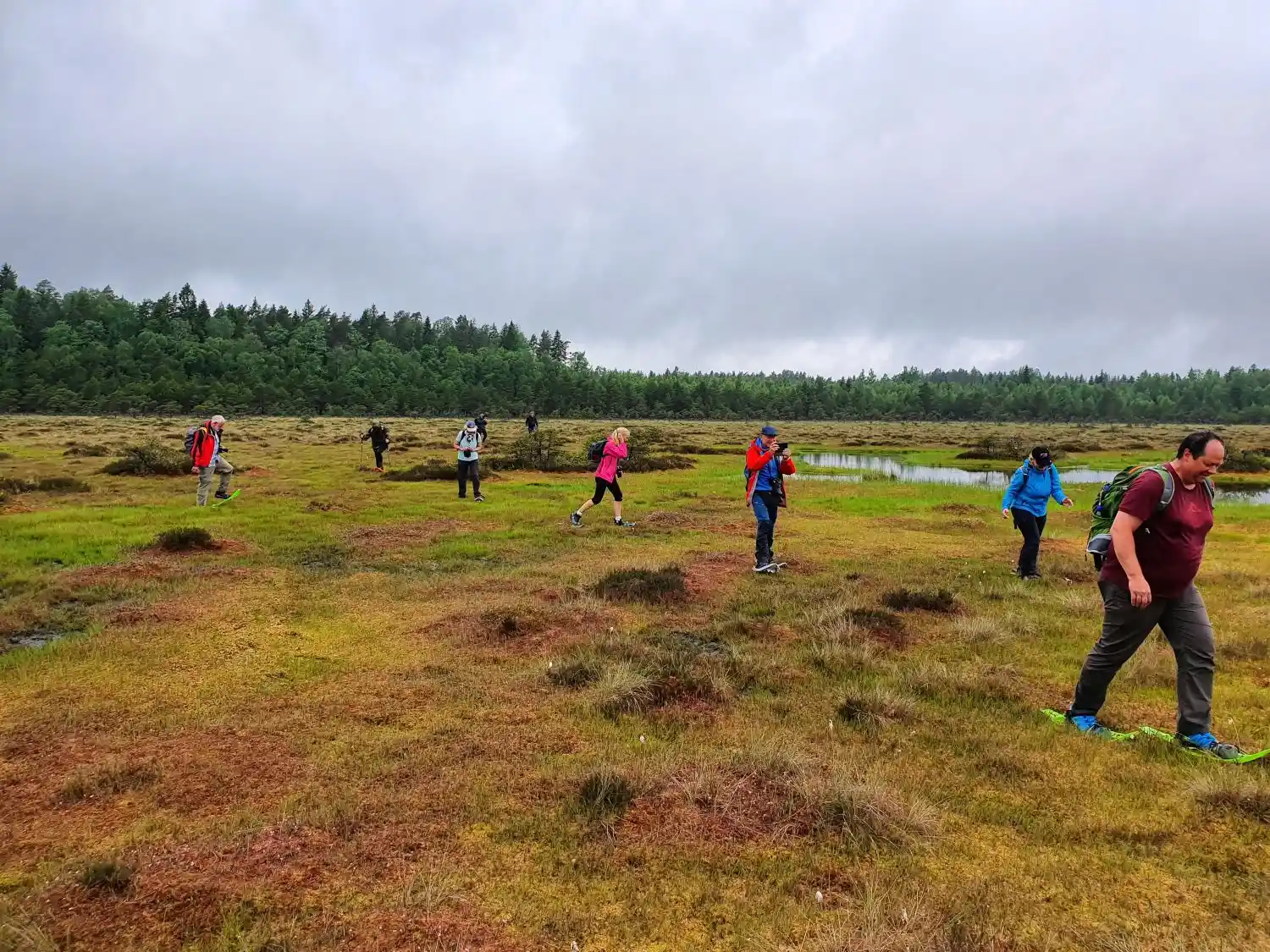 estonia bog lake hiking tour nature experience