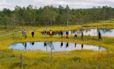 estonia bog walking tour wetland hiking experience