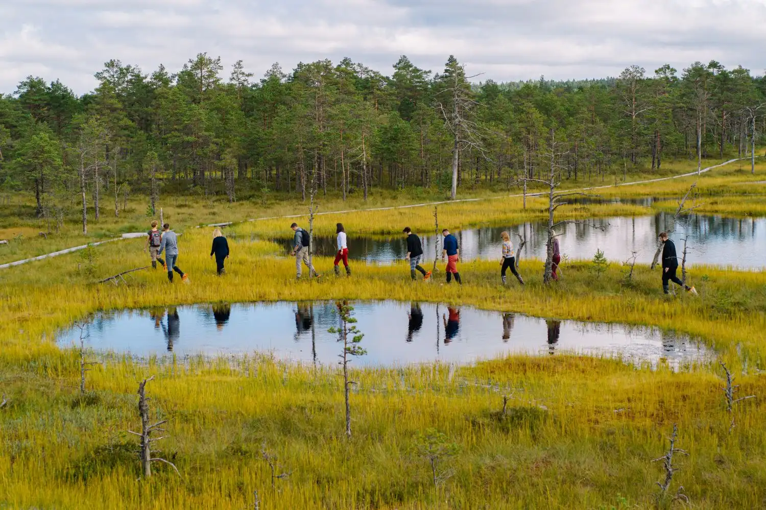 estonia bog walking tour wetland hiking experience
