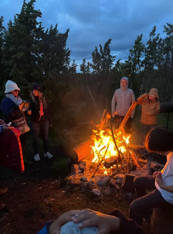 estonia campfire experience evening group nature