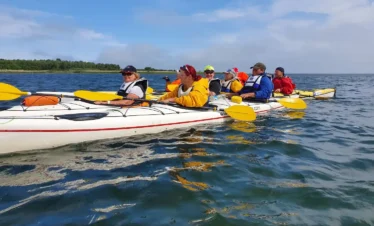 estonia kayaking tour sea adventure experience