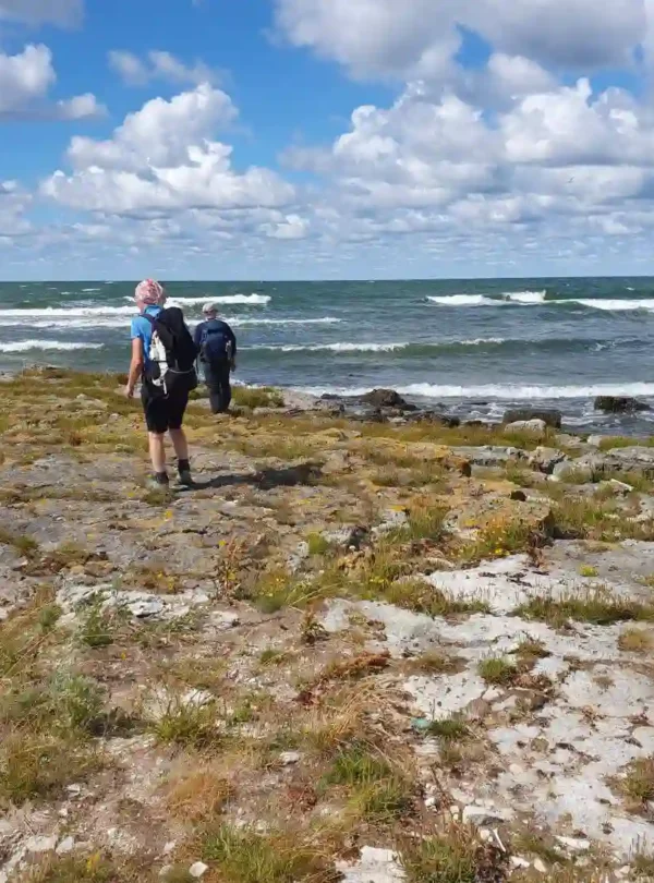 estonia rocky coast hiking baltic sea cliffs