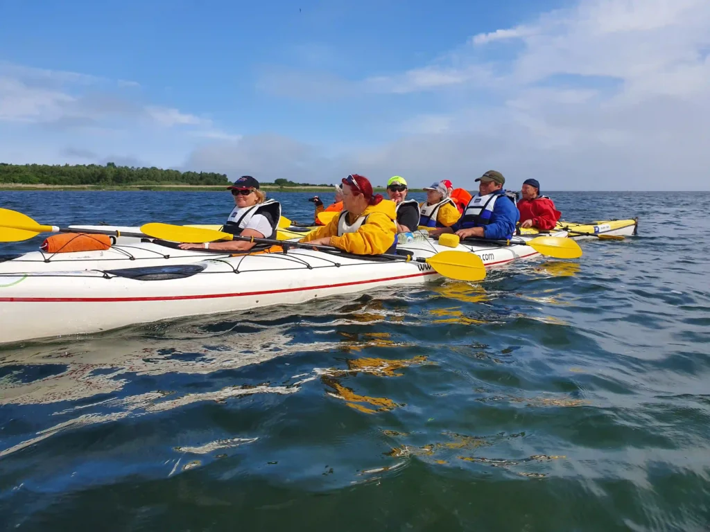 estonia sea kayaking tour coastline