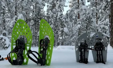 estonia snowshoes winter forest equipment nature