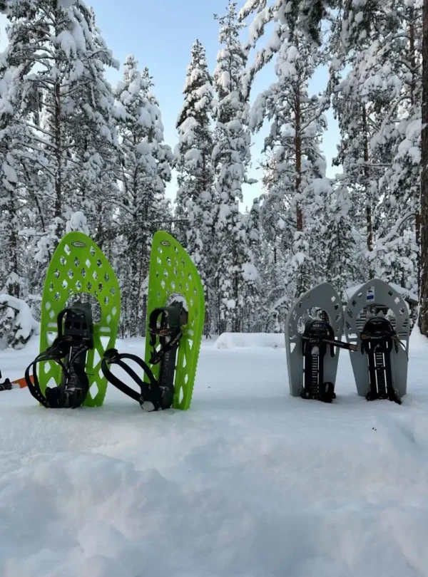 estonia snowshoes winter forest equipment nature