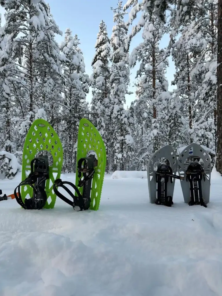 estonia snowshoes winter forest equipment nature