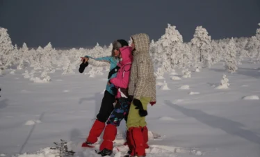 estonia winter bog snowshoe adventure night
