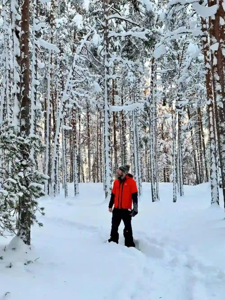 estonia winter forest hiking man snow landscape