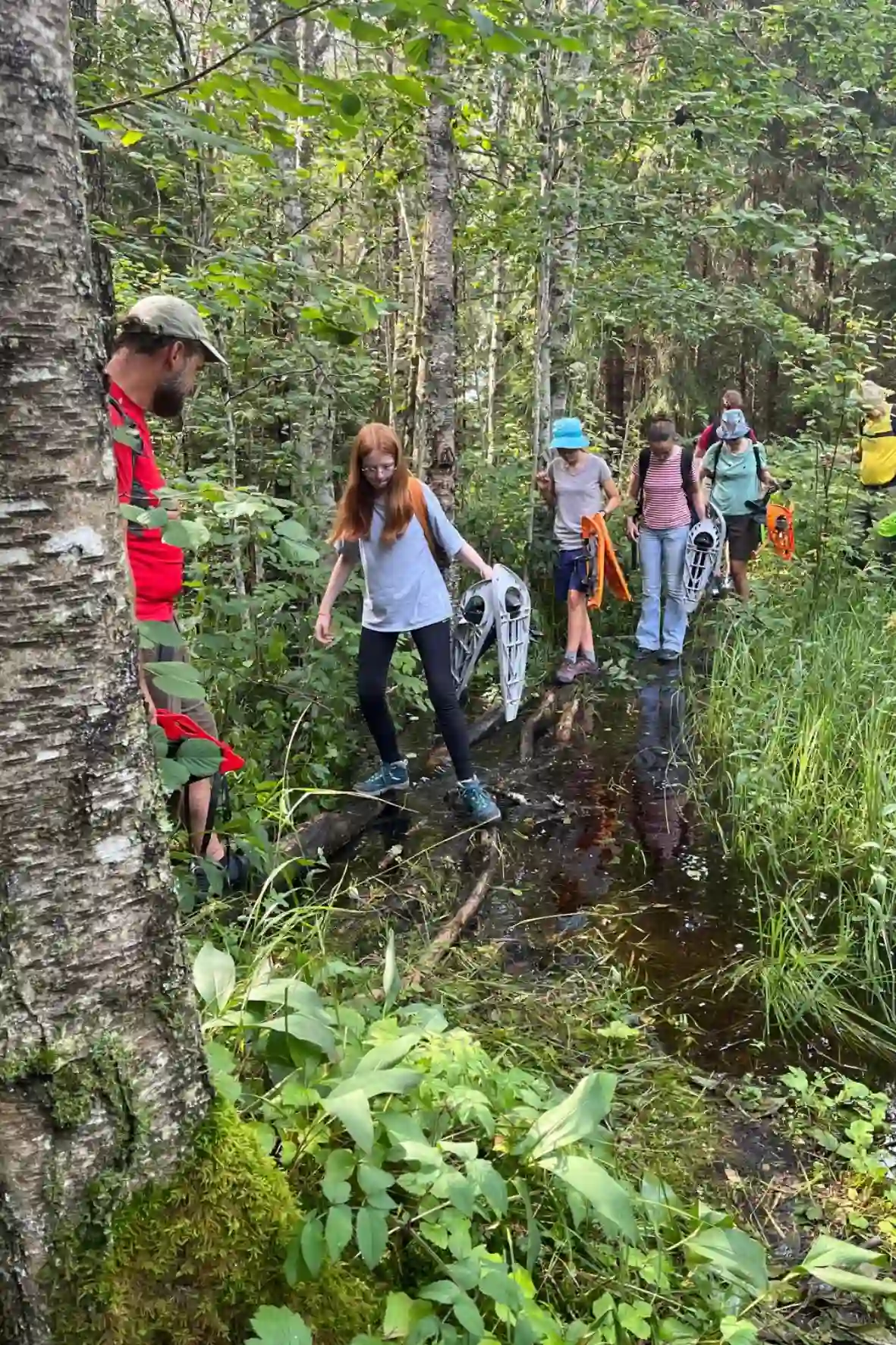 Wanderung durch Wälder in Estland und Lettland mit Naturerlebnis und ruhiger Umgebung