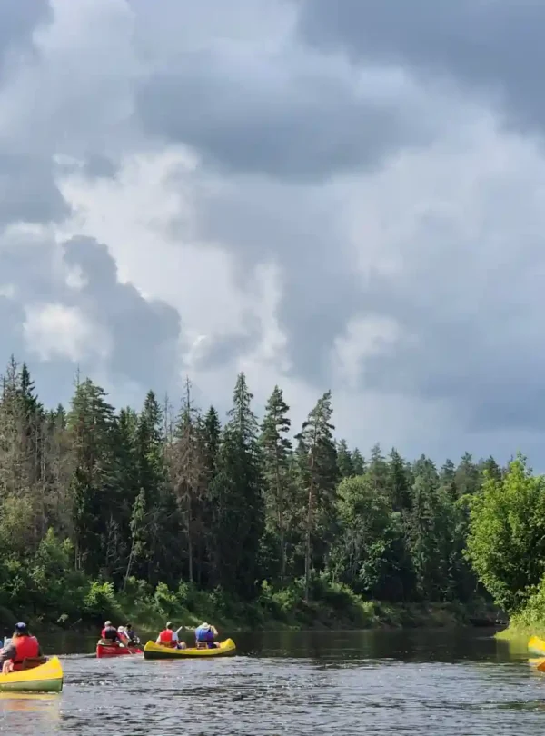 Kajaktour durch die Natur in Estland und Lettland mit unberührten Landschaften und ruhigen Gewässern