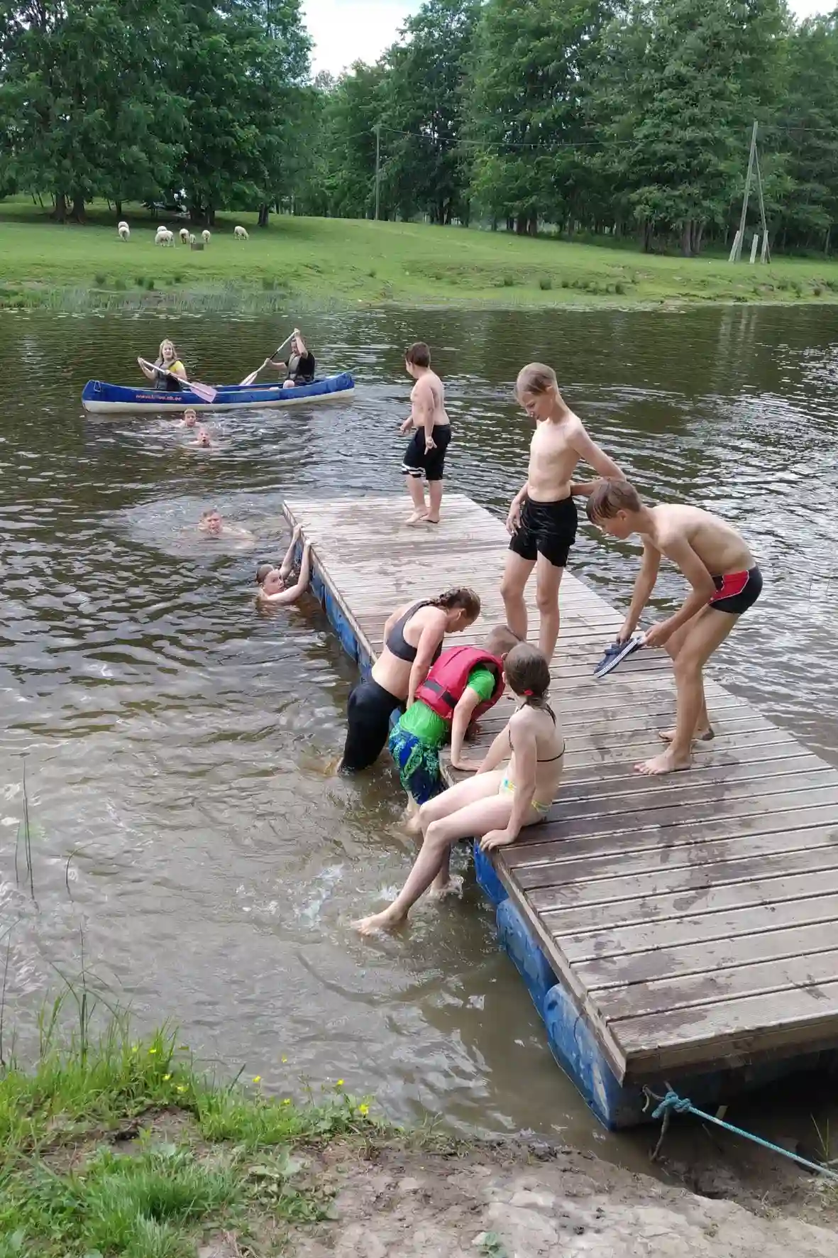 Schwimmen in einem See in Estland inmitten ruhiger Natur