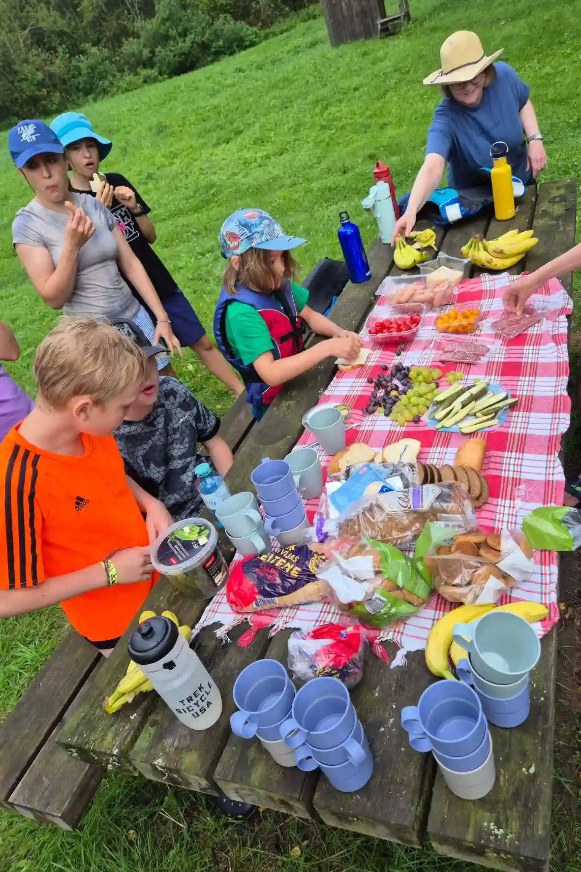 Picknick in der Natur in Estland und Lettland mit ruhiger Umgebung und Landschaft