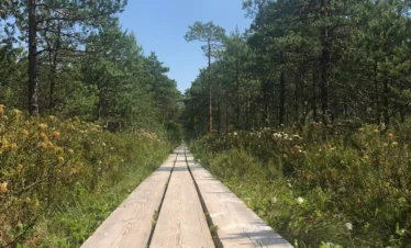 relaxing nature getaway in europe