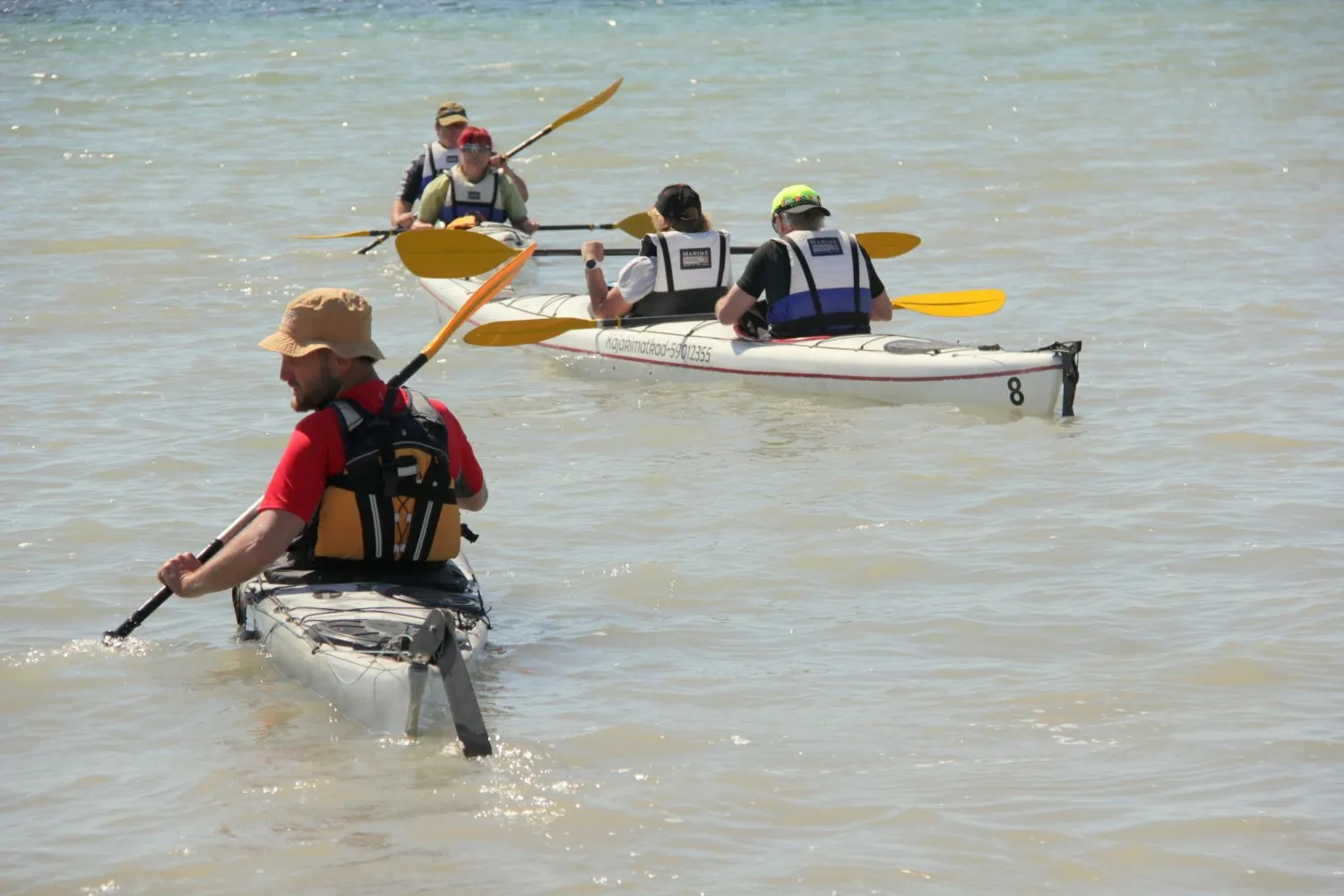 sea kayaking is estonia guided tpurs wildlife active tours