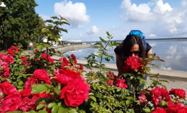 what to do in estonia