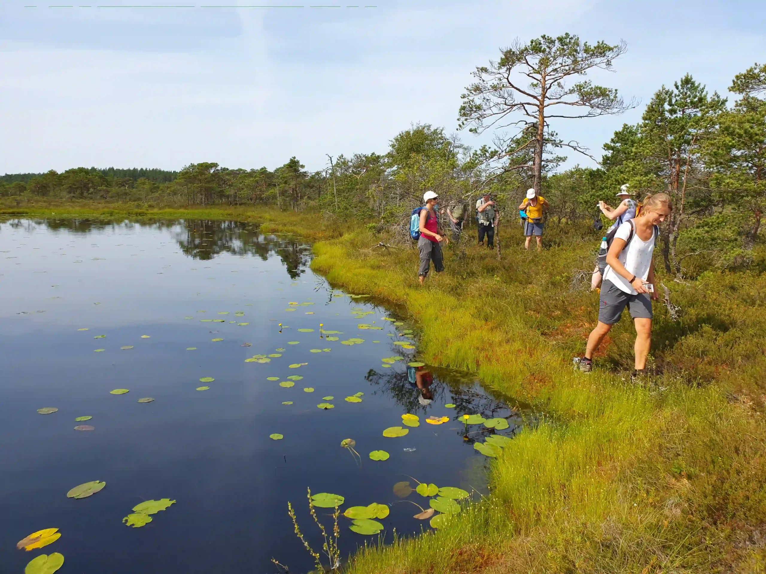 what to do in estonia bog trip adventure