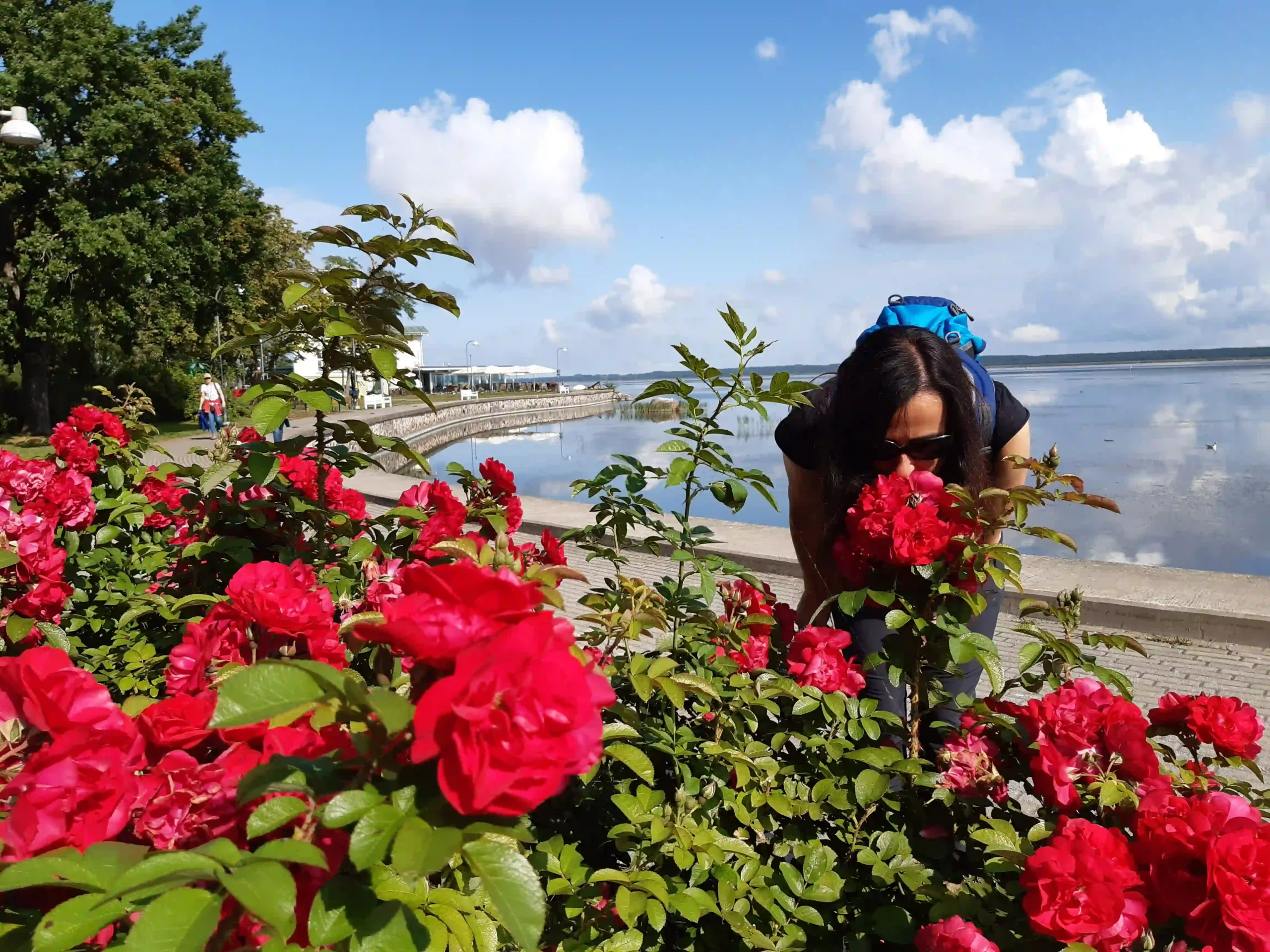 what to do in estonia