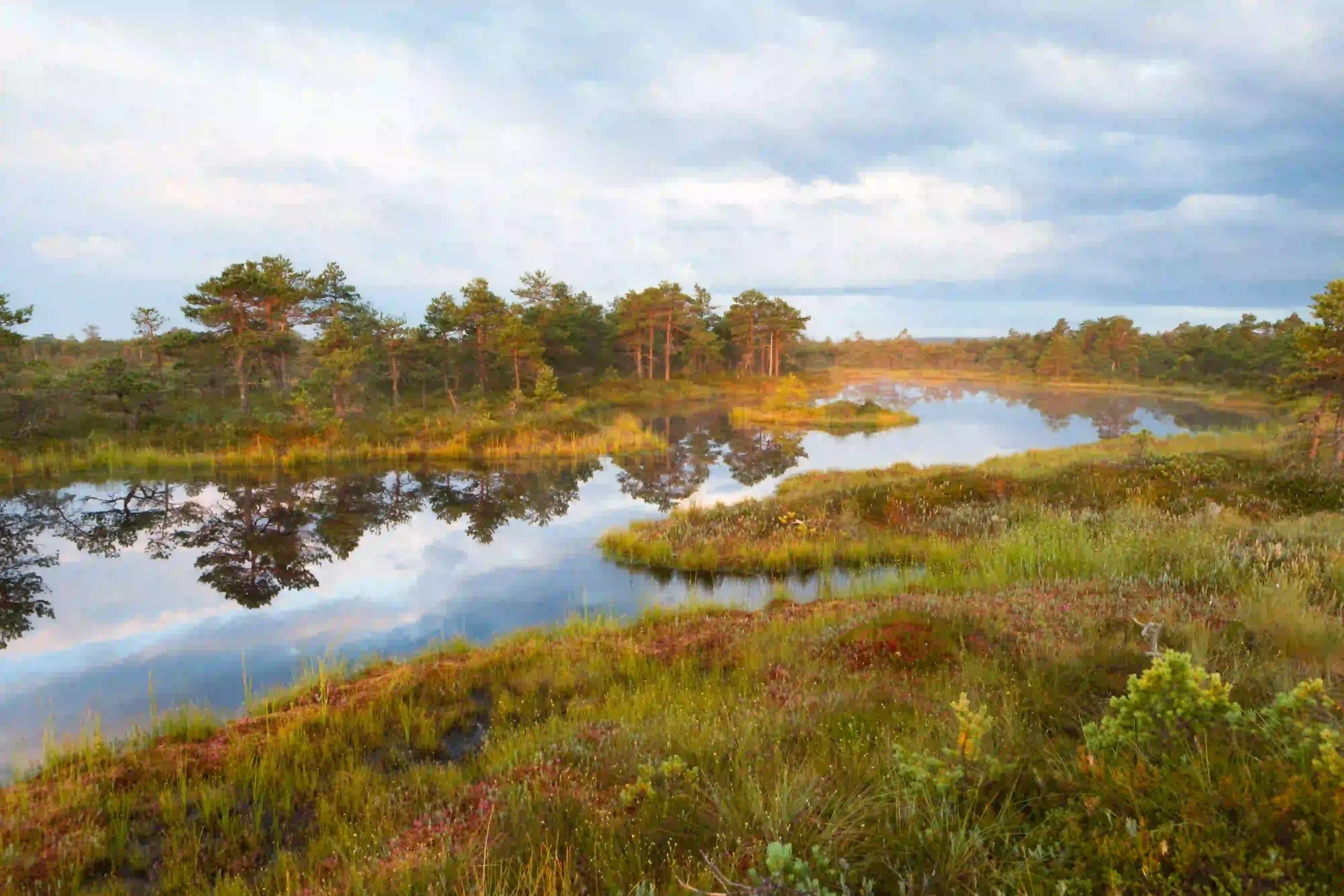 Beautiful landscape for nature photographers