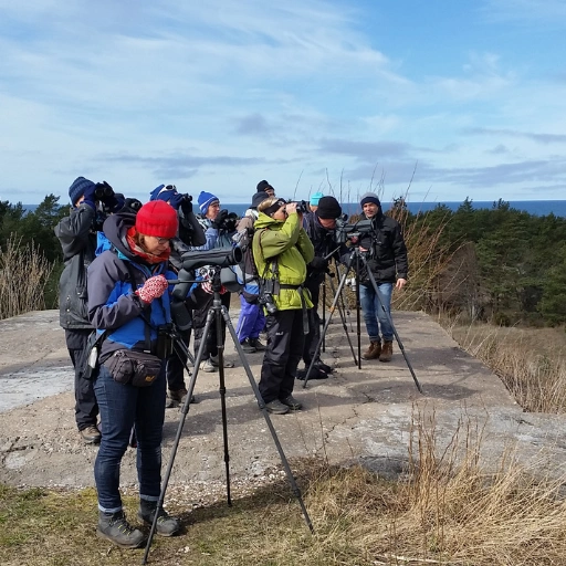 birdwatchers in estonian costal